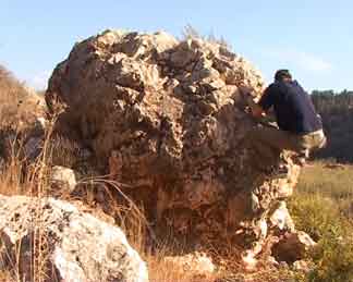 Green Line Sisyphus 2005 (Video)